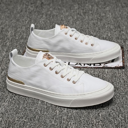 Summer New Ice Silk Fabric Men's Casual Board Shoes Breathable Low-Cut Canvas Shoes Fashion Sports Shoes
